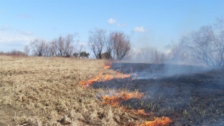 Ugniagesiai vos spėja gesinti žolę