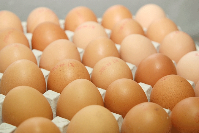 Kas žinotina apie kiaušinius?