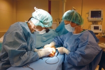Gydytojas Simonas Sereika operuoja riešą, MDGC archyvas
