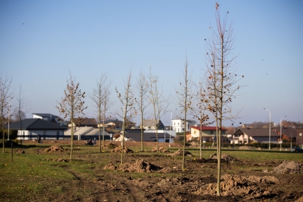 Rimkų parke pasodinti pirmieji medžiai