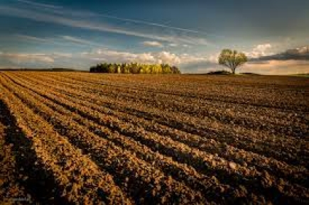 Žemės ūkio paskirties žemės mokestis – savivaldybių pajamų dalis