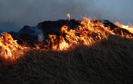 Žolės deginimo pasekmės: žala gamtai, žmonėms ir jų turtui