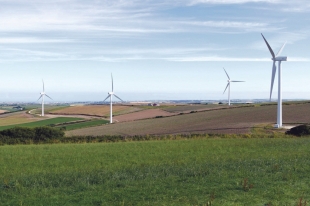 Poveikio aplinkai vertinimas: kaip matuojama vėjo jėgainių įtaka?
